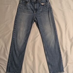 Women's Everlane Light Blue Cheeky Jeans Straight Fit Stretch